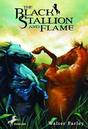 The black stallion - stallion, and