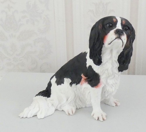 Cavalier king charles - charles, spaniel