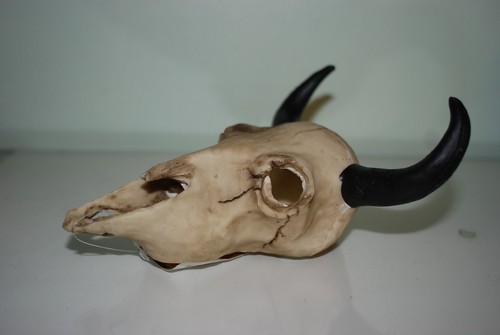 Vivarium decoration goat skull - vivarium,