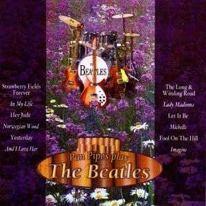 Pan pipes play the beatles - pipes,