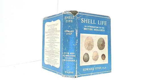 Shell life introduction - an, to