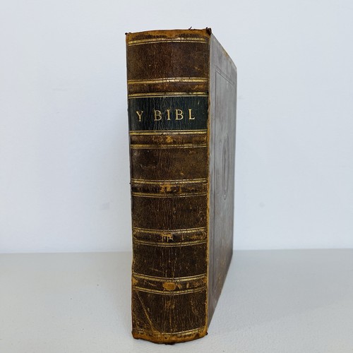 The holy bible welsh - holy, language