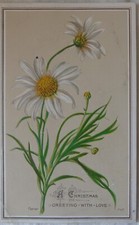 Victorian Christmas Advertising Card The Educational Musical Instrument Co 1881