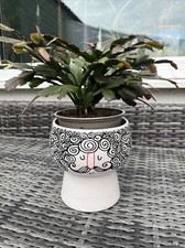 Tiger White Character Planter