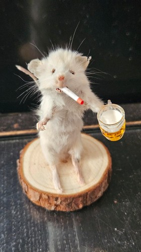 Taxidermy funny smoking - , mouse