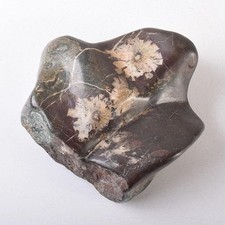 Suiseki Viewing Natural Stone