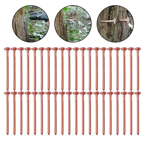 Tree stump removal spikes - stump,