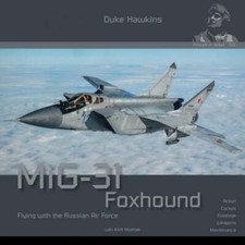 Aircraft detail 012 mig 31 - aircraft,