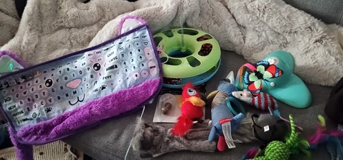 Cat toy bundle - toy,