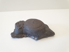 Obsidian with Lapilli 111g - Rough Raw Volcanic Glass / Rock Specimen / Sample