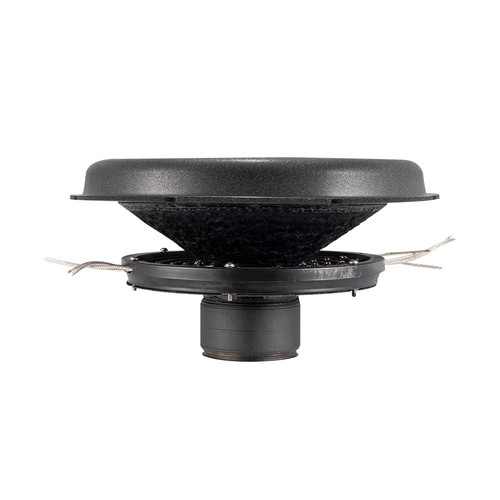 Bassface indy evo10 - indy, 2x2ohm