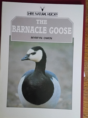 The barnacle goose myrfyn - the,
