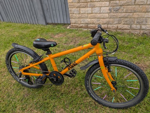 Frog children bicycle - frog,