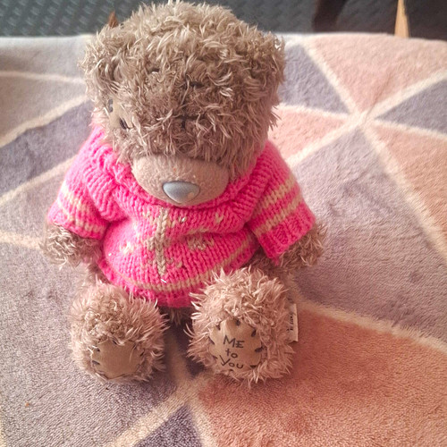 You grey teddy bear - to,
