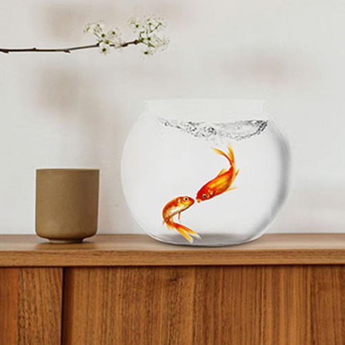 2pcs reusable plastic fish - reusable,