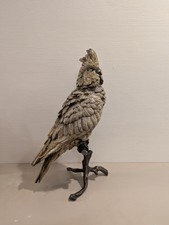 Antique Bergman Bronze Cold Painted Bronze Large Cockatoo Vienna Bronze Bird 