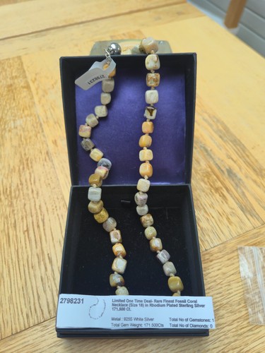 Rare finest fossil - rare,