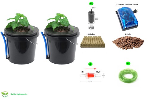 Hydroponics deep water culture - deep,