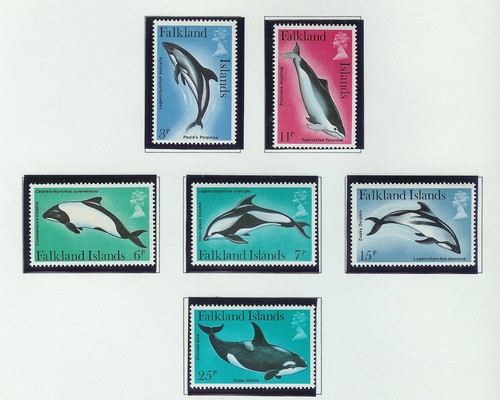Falkland islands - falkland,