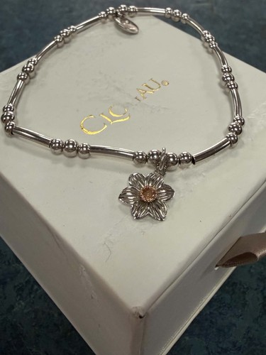 Clogau daffodil affinity - clogau,