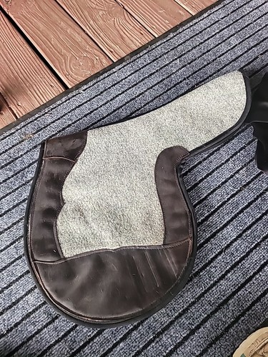 Race horse exercise pad - horse, custom