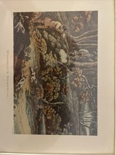 Woodcock Shooting Print By H Allen Felt