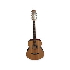 Freshman Renegade RENFNLH Acoustic Guitar (Left-Handed)