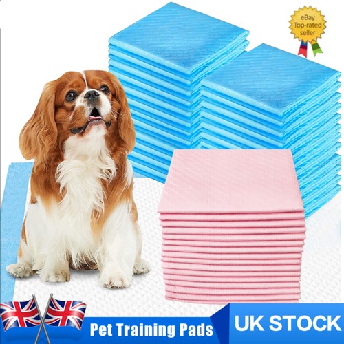 200pcs large puppy training - large,