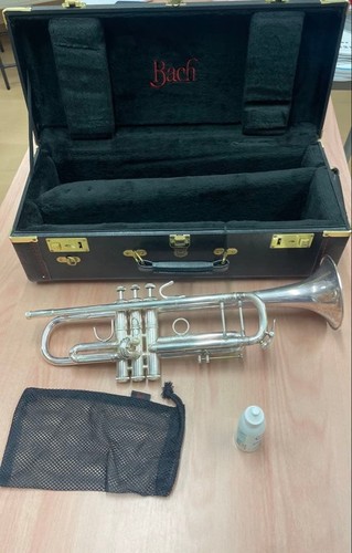 Bach stradivarius model - model, 37