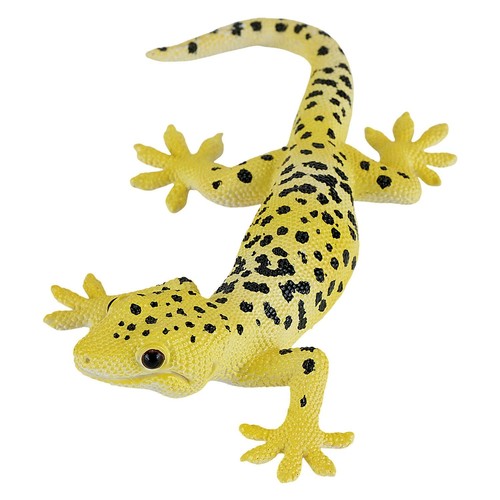 Leopard gecko reptile - leopard, toy