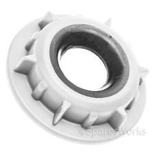 Genuine CAPLE MATSUI