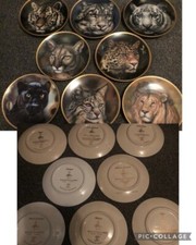 Big Cats of the World plate