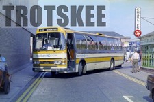 35mm Colour Negative Alexander