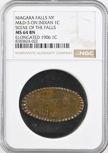 Elongated 1906 indian head - 1906,