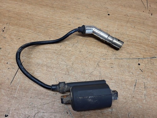 Pulse adrenaline 125 - 125, coil