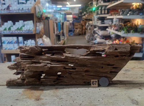 Medium natural bogwood - medium,