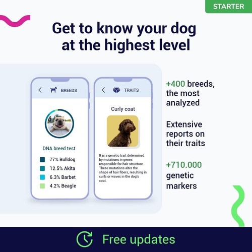Knowyourdog dog dna test 400 - test, 400+