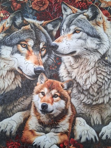 Wooden jigsaw puzzle adult - wooden,