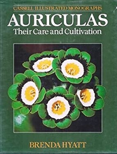 Auriculas care and - auriculas, :