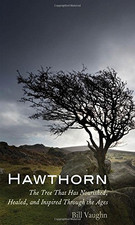 Hawthorn: The Tree That Has