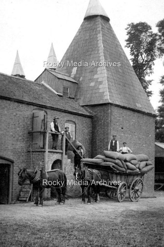 Cty hop kiln - hop, kiln,