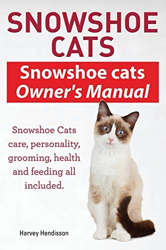 Snowshoe cats - snowshoe,