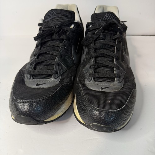 Vintage 2012 nike air - vintage, max