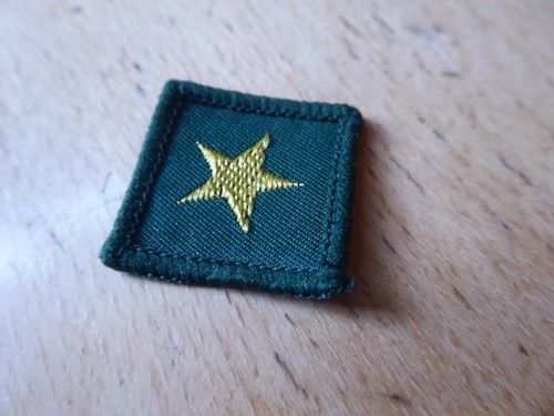 Old scouting badges patches - scouting, badges/patches