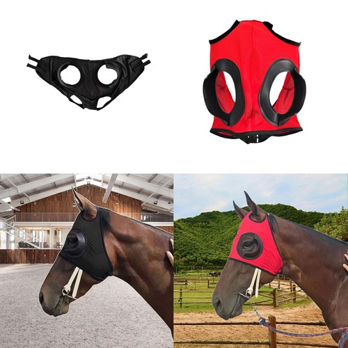 Horse riding glasses equipment - riding,