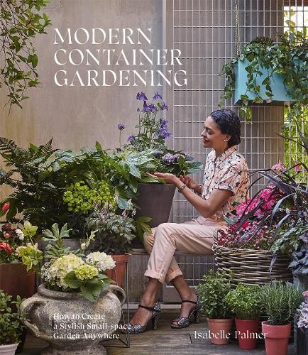 Modern container gardening - modern,