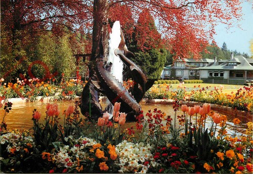 Postcard british columbia - british,