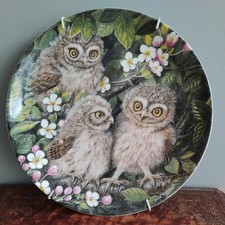 Baby Owls Decorative Collector
