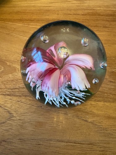 Pink lilly with bubbles - lilly,