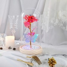 Preserved Rose Glass Dome Lamp
